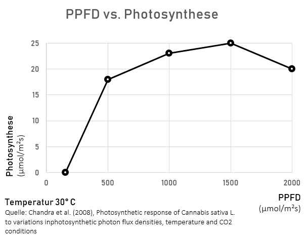 PPFD y la fotosíntesis 