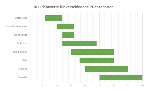 Plant Lighting Explained In Numbers | PAR, PPF, DLI Etc.