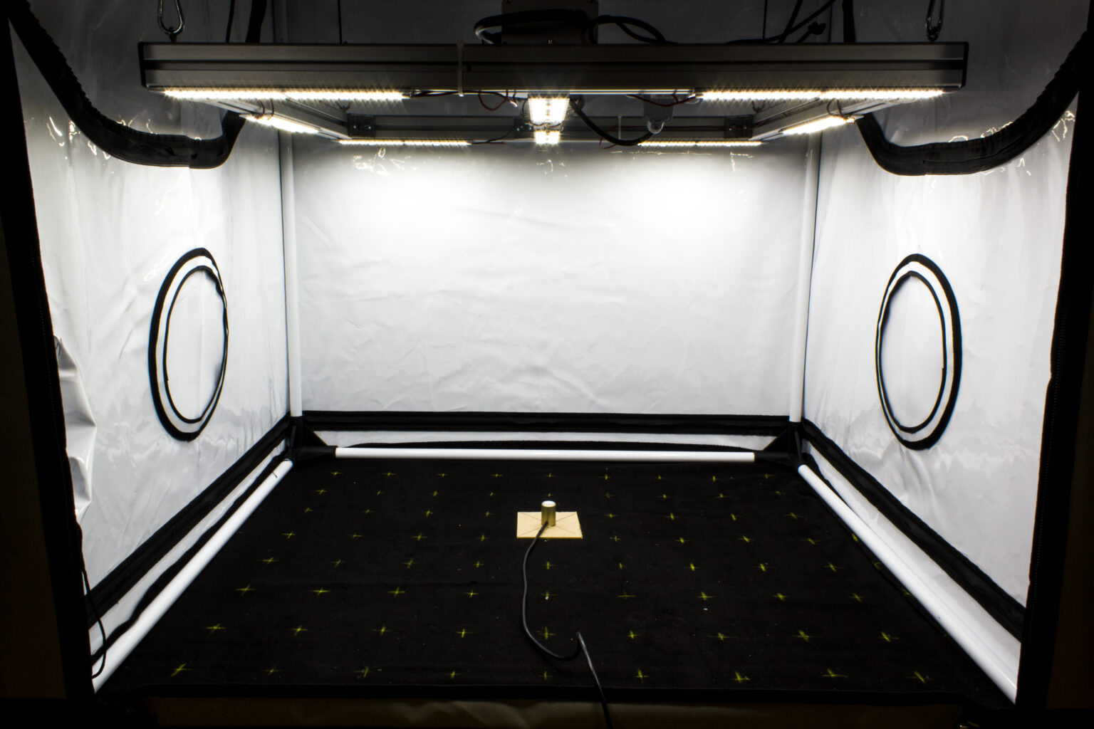 Plant Lighting Explained In Numbers | PAR, PPF, DLI Etc.