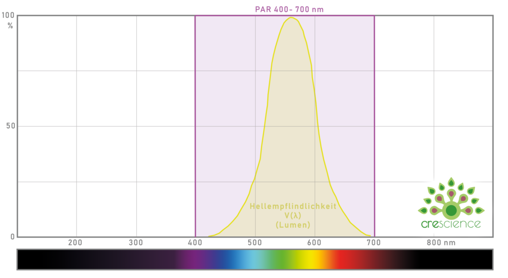 Illuminazione dell'impianto PAR vs. sensibilità alla luminosità